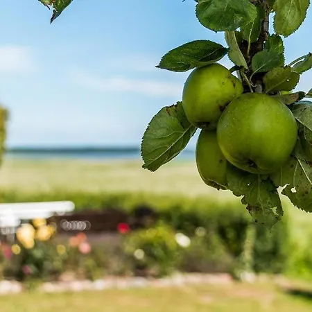 Lägenhet Haus Am Bodden 02
